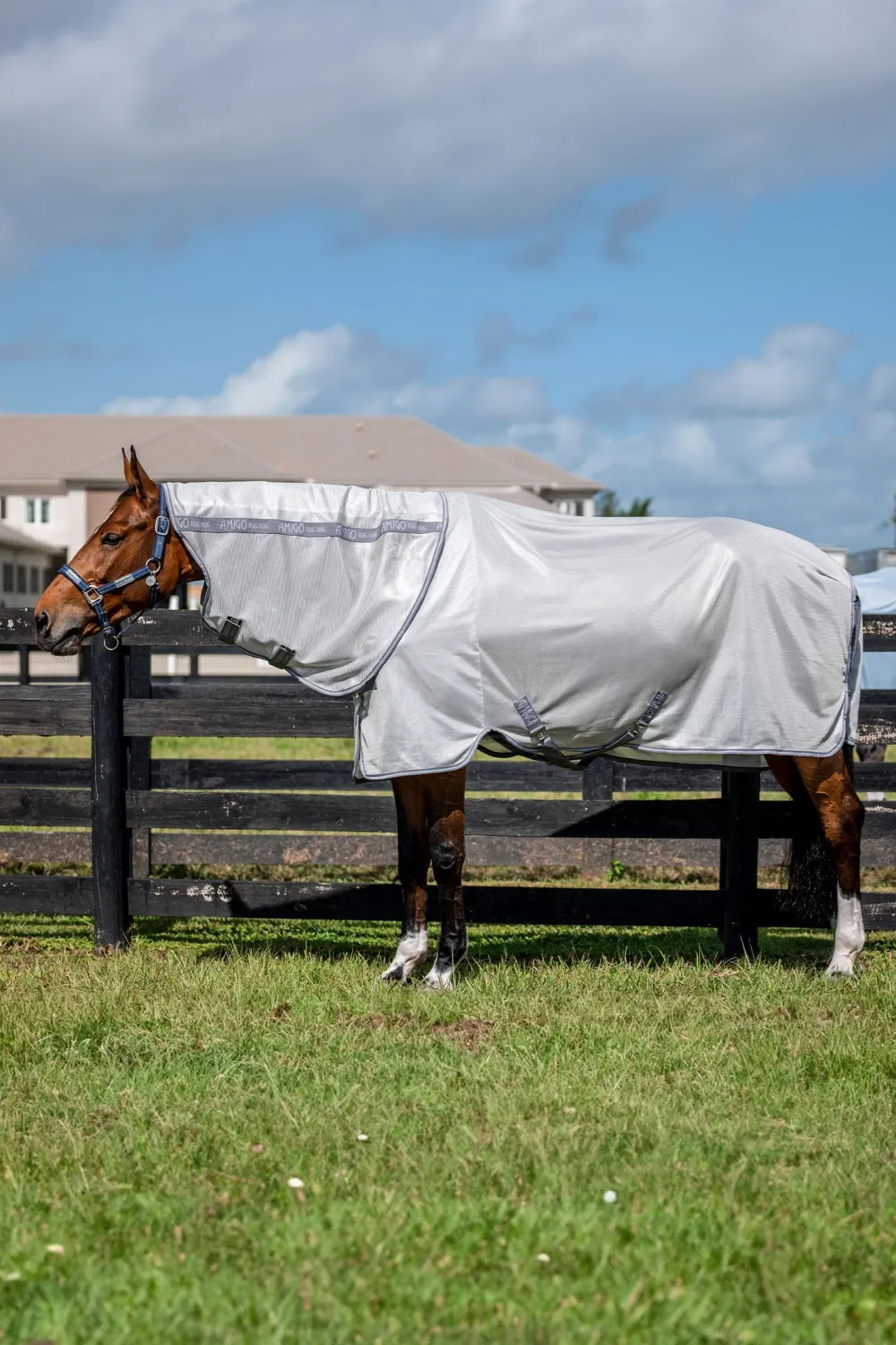 Horseware Horseware|Flugskydd-Amigo Flugtäcke Silver