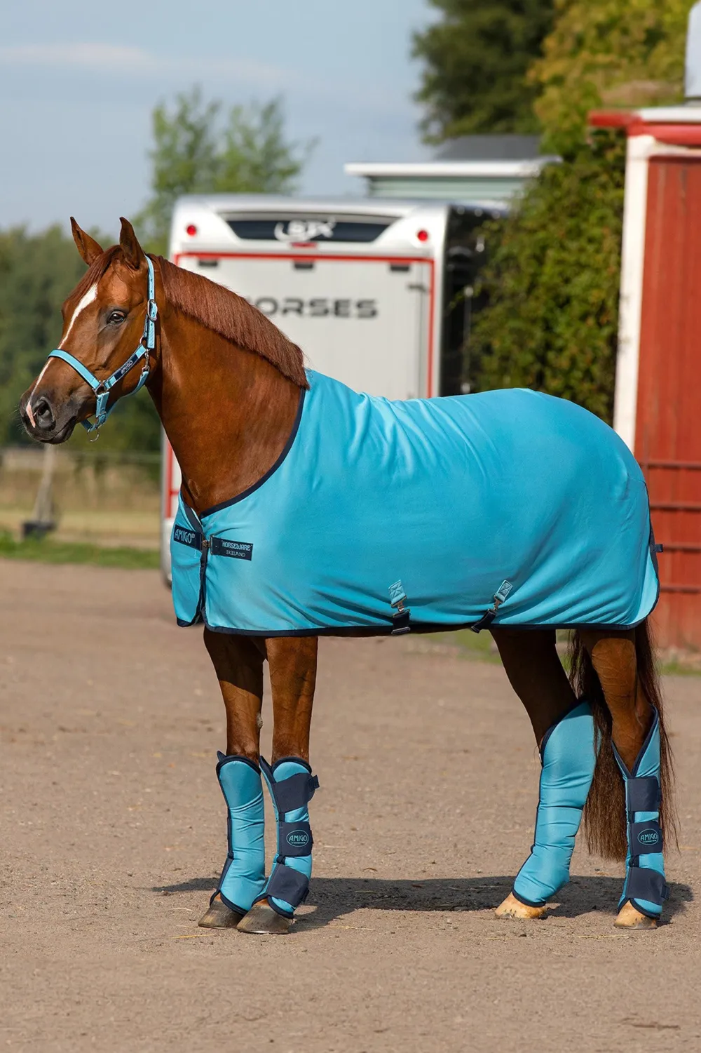 Horseware Horseware-Amigo Jersey Cooler Täcke
