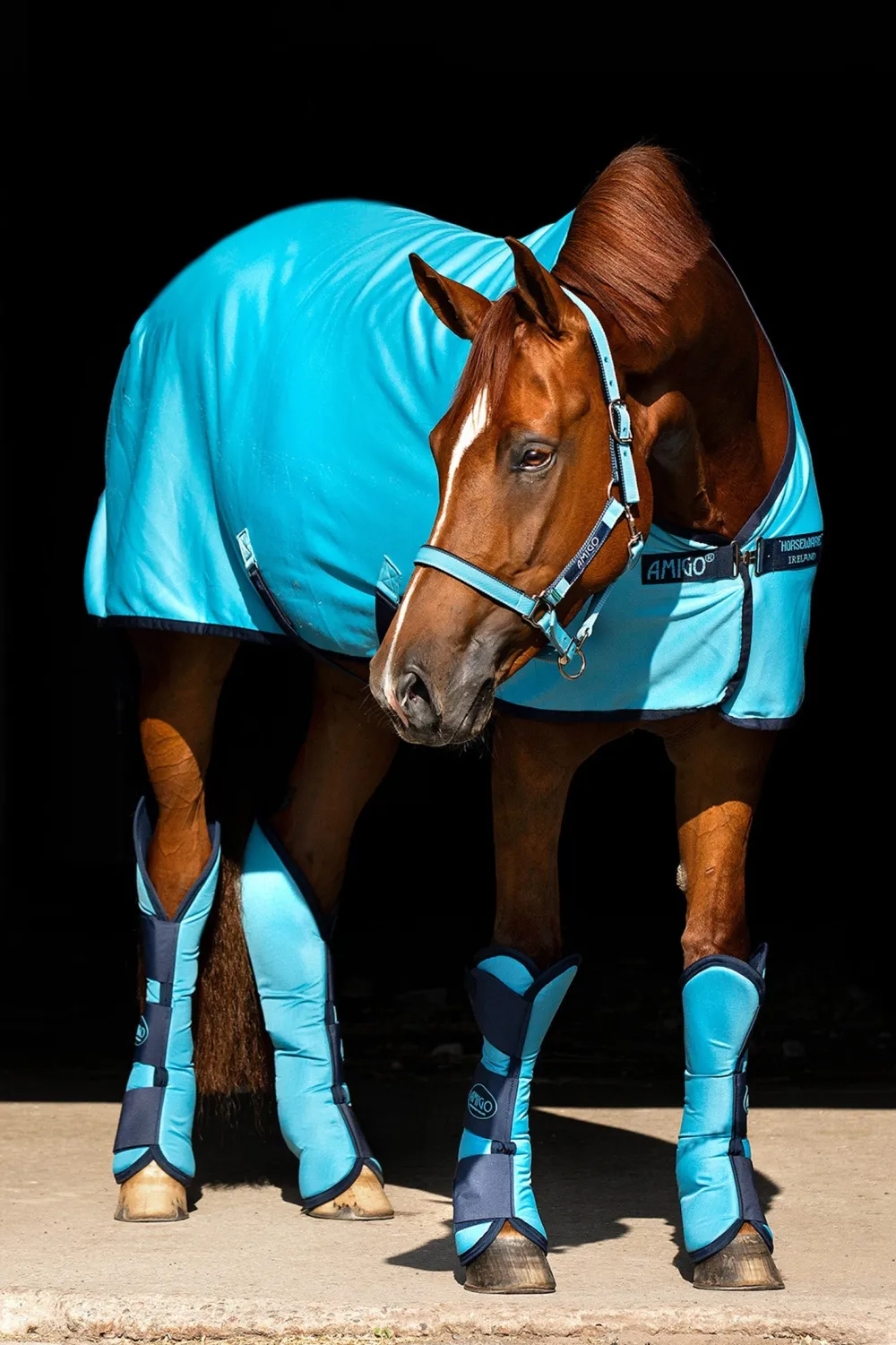 Horseware Horseware-Amigo Jersey Cooler Täcke