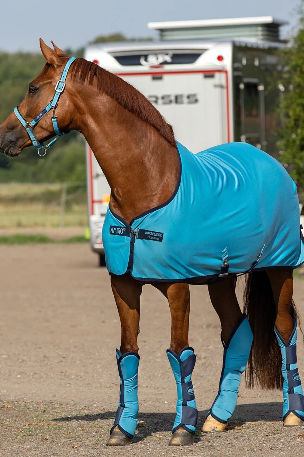 Horseware Horseware-Amigo Jersey Cooler Täcke