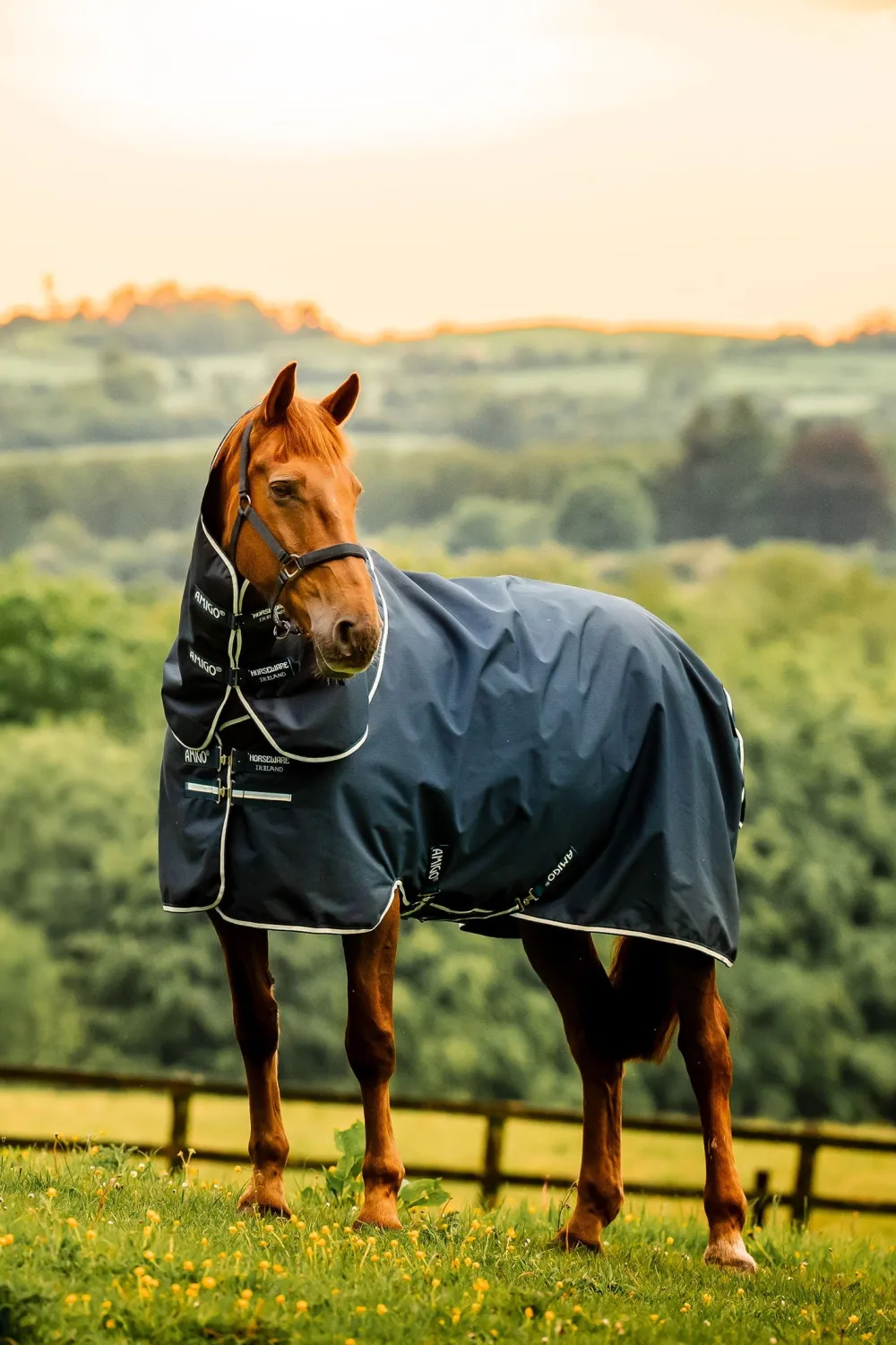 Horseware Horseware|Hästtäcken & Flughuvor-Amigo Plus 900D 0g Ripstop Navy