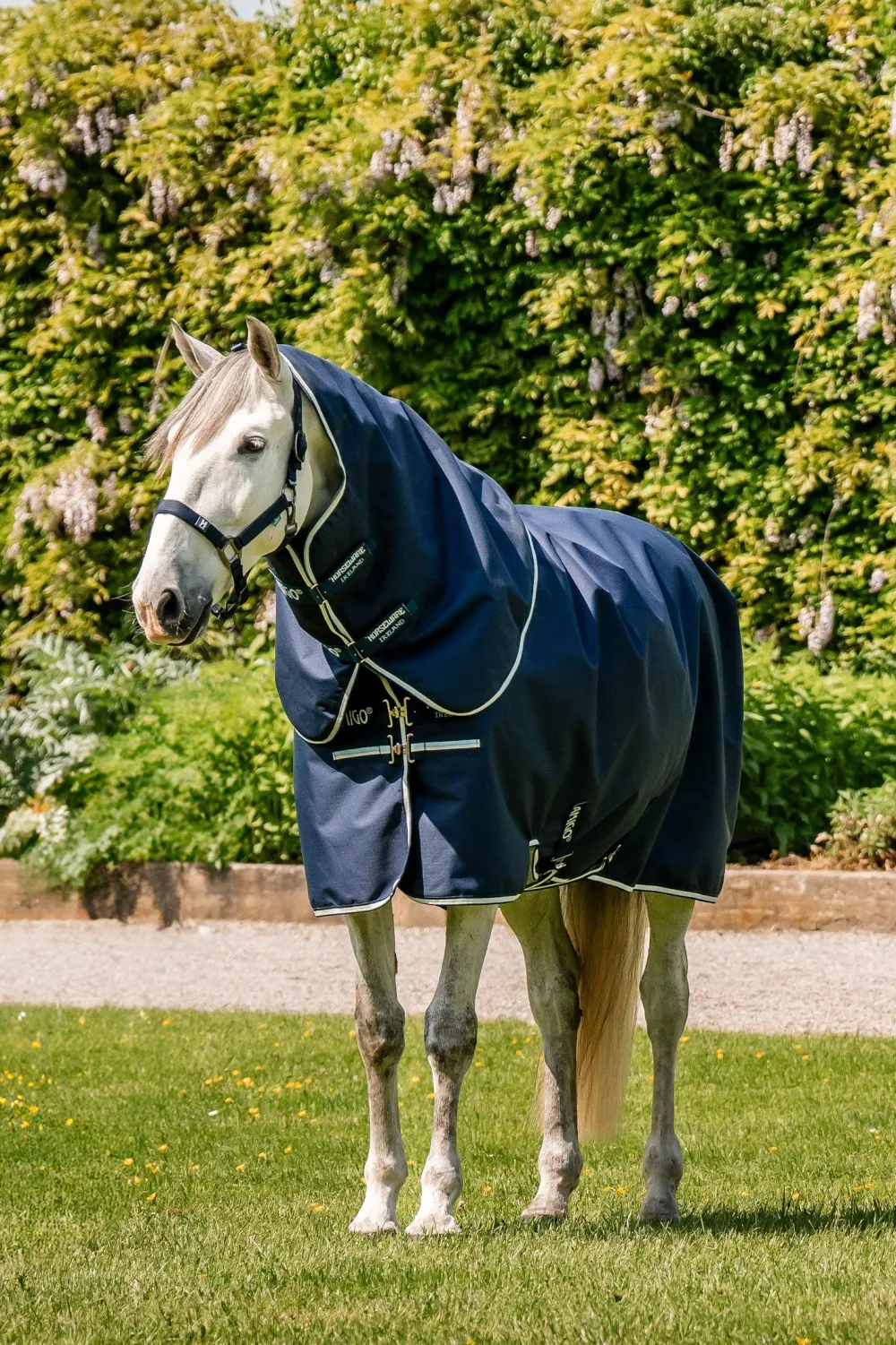 Horseware Horseware|Hästtäcken & Flughuvor-Amigo Plus 900D 0g Ripstop Navy