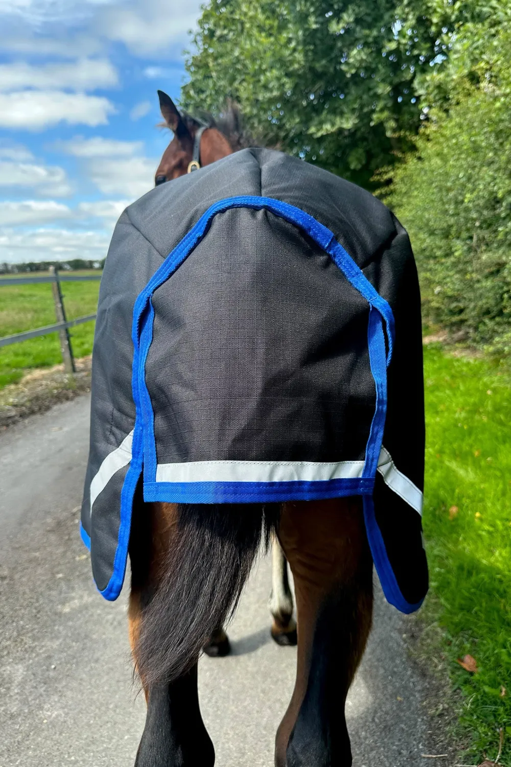 Horseware Horseware-Amigo Ripstop 900D Föltäcke 50g Svart/Blå