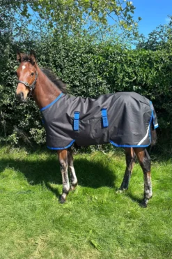 Horseware Horseware-Amigo Ripstop 900D Föltäcke 50g Svart/Blå