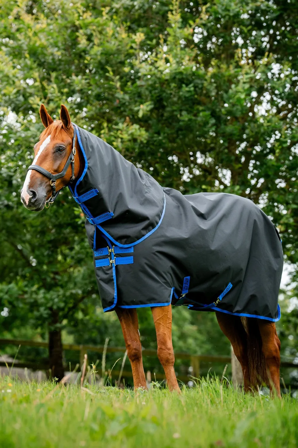 Horseware Hästtäcken & Flughuvor|Horseware-Amigo Ripstop Vintertäcke 900D Plus 200g Svart/Blå