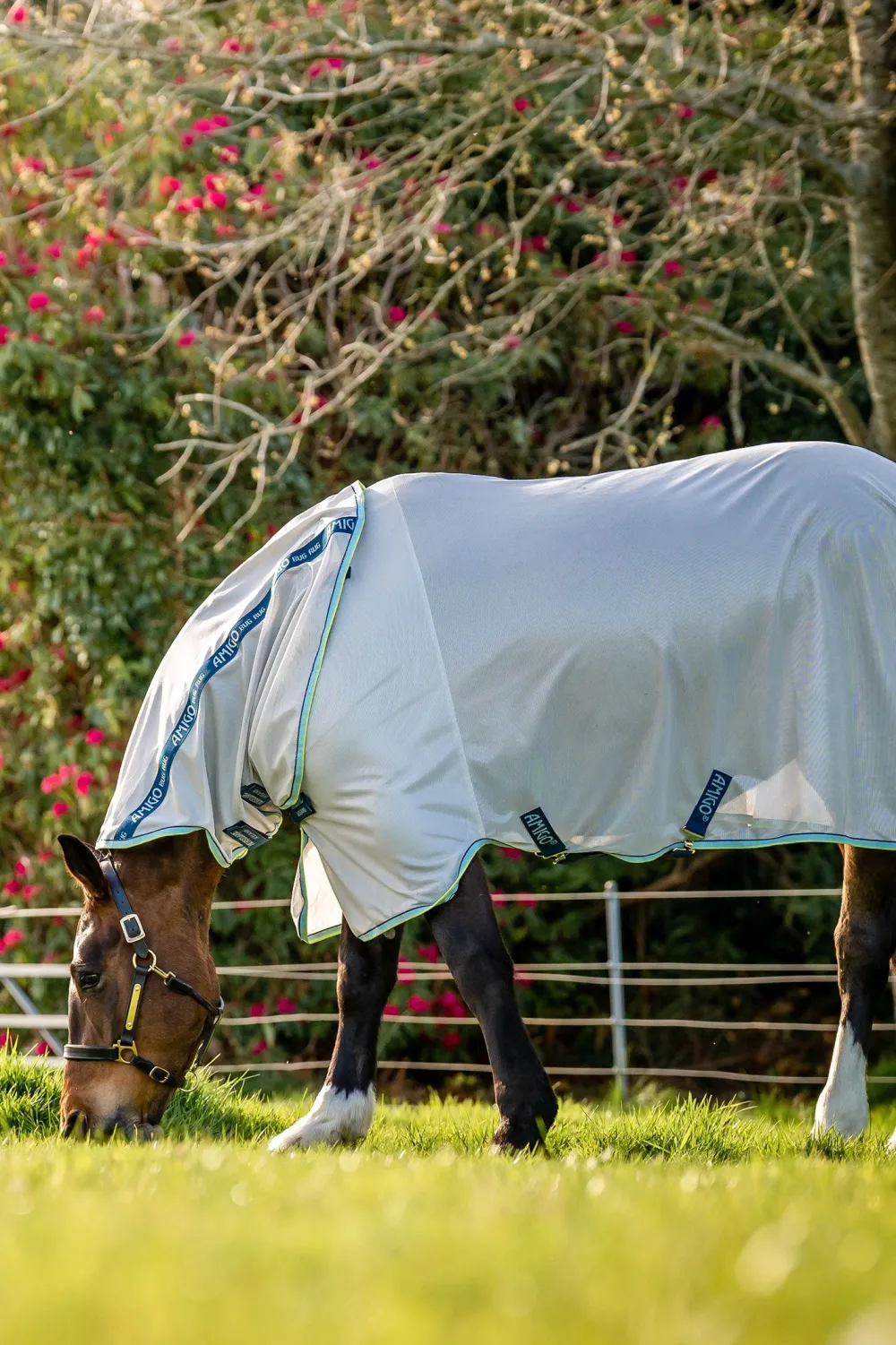 Horseware Horseware|Flugskydd-Amigo XL Bug Rug Flugtäcke