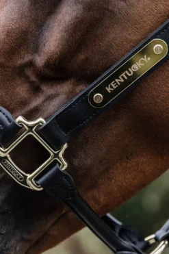 Kentucky Horsewear Kentucky Horsewear|Grimmor & Grimskaft-Anatomisk Lädergrimma Svart