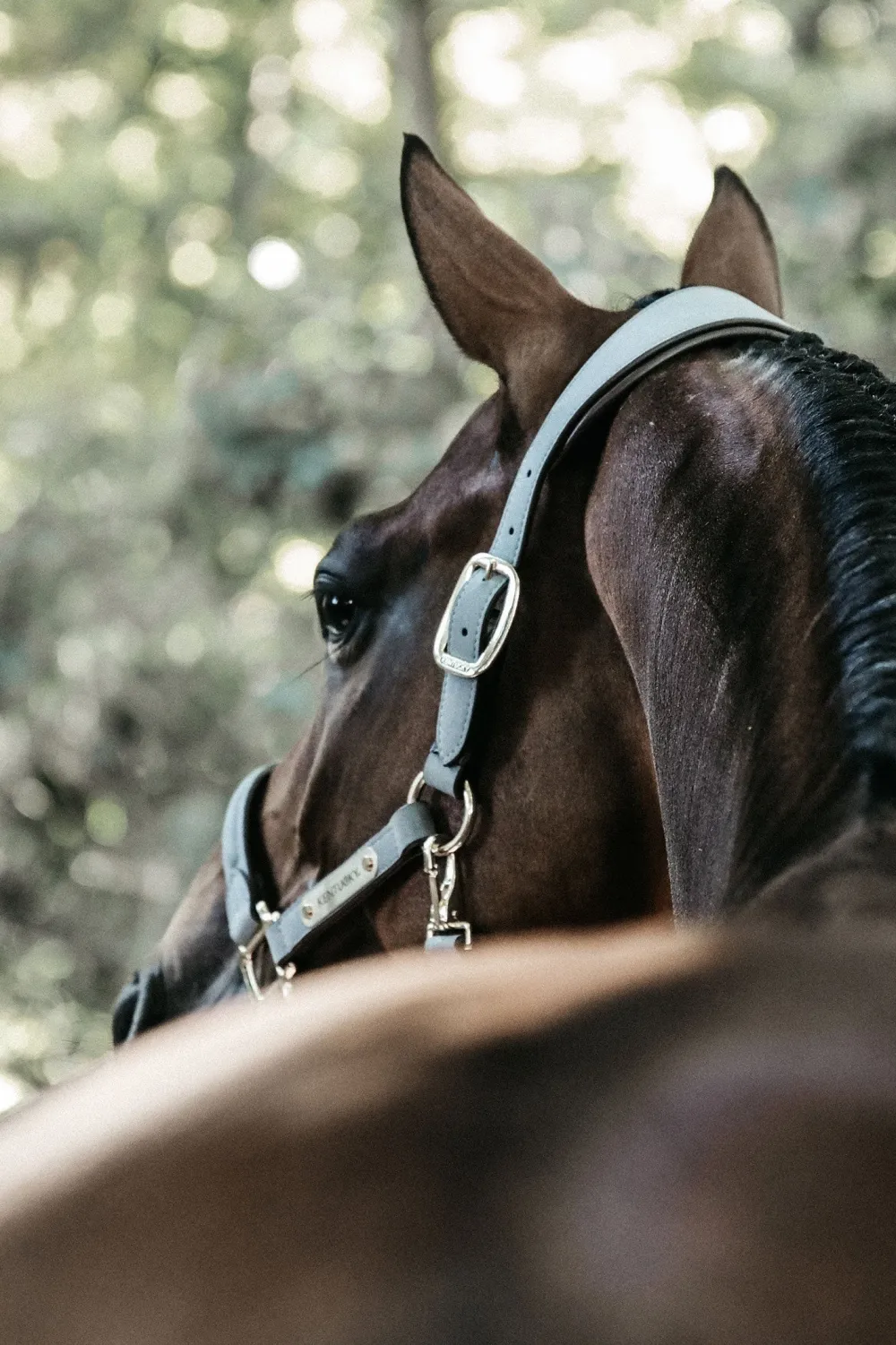 Kentucky Horsewear Kentucky Horsewear|Grimmor & Grimskaft-Anatomisk Mockagrimma Grå