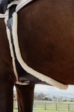 Kentucky Horsewear Sadelgjordar & Tillbehör|Kentucky Horsewear-Anatomisk Stud Magplatta Fårskinn Brun