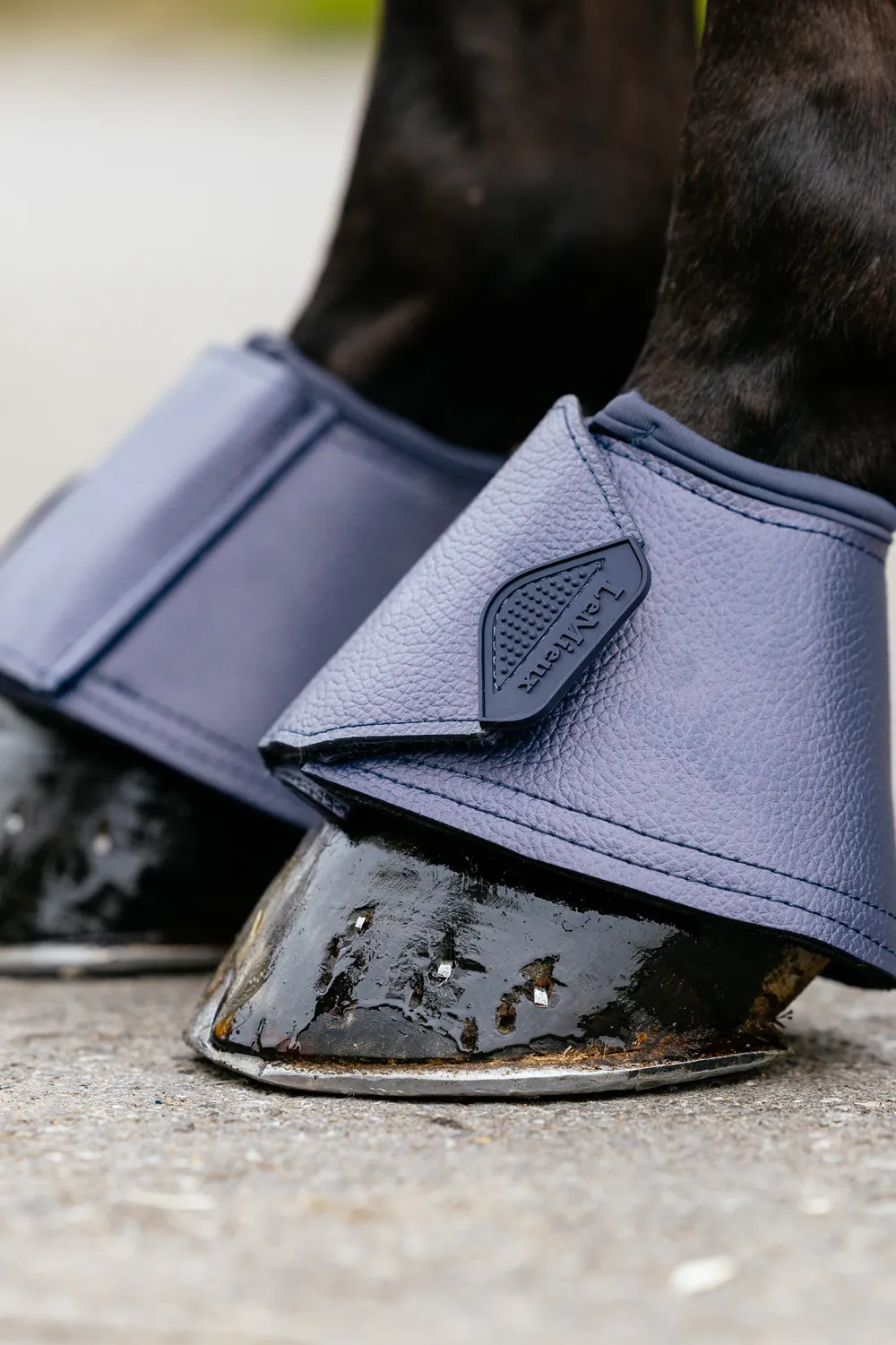 LeMieux Lemieux|Benskydd & Benlindor-Arika Boot