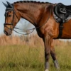 LeMieux Lemieux-Arika Mesh Brushing Damasker
