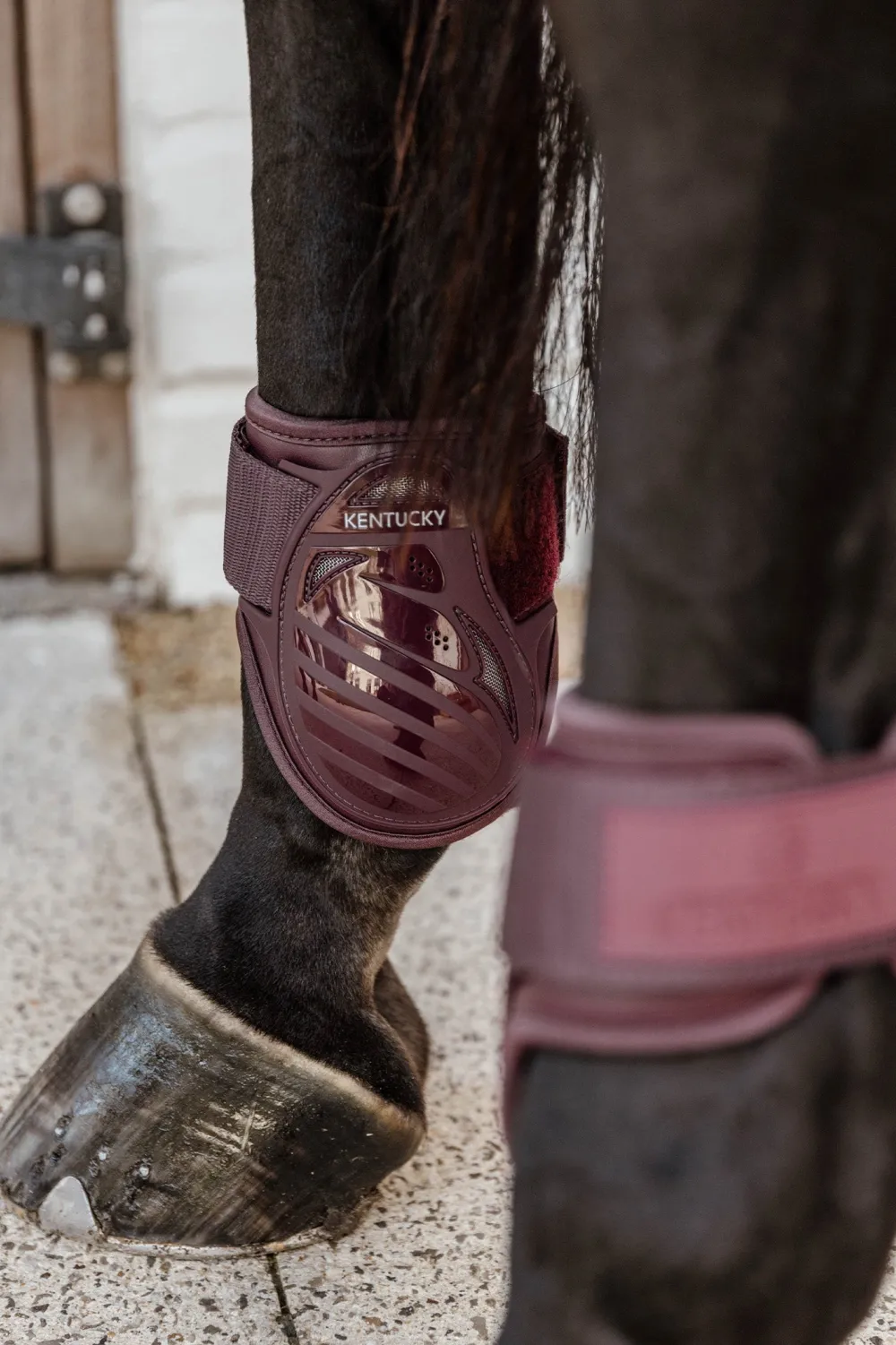 Kentucky Horsewear Kentucky Horsewear|Benskydd & Benlindor-Bakkydd Unghät Bordeaux