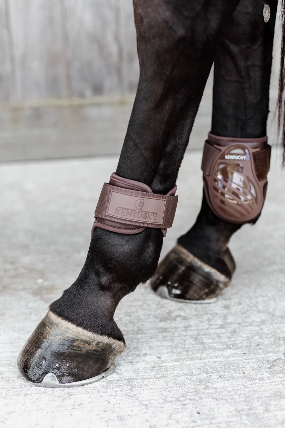 Kentucky Horsewear Kentucky Horsewear|Benskydd & Benlindor-Bakkydd Unghät Brun