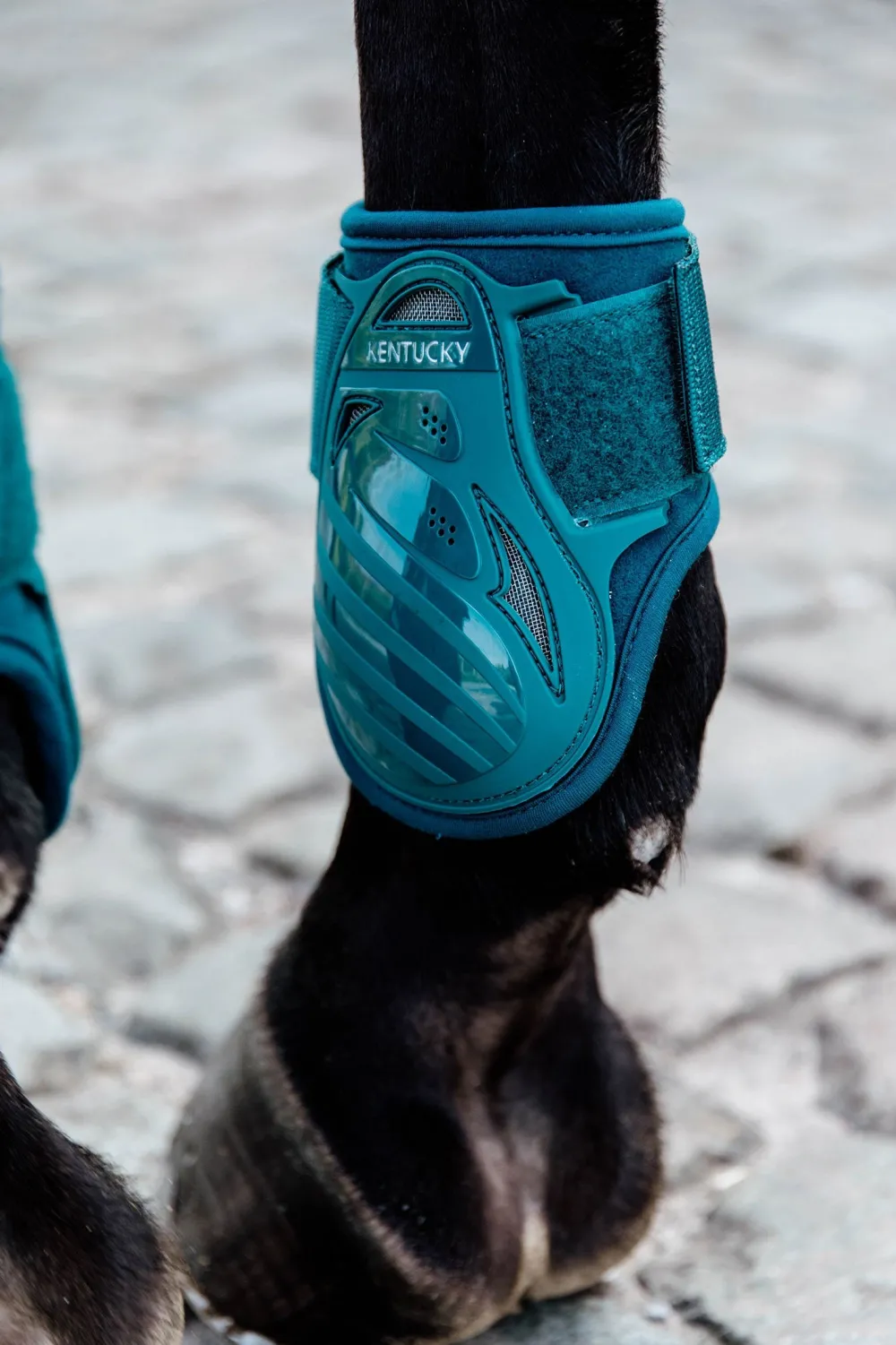 Kentucky Horsewear Benskydd & Benlindor-Bakskydd Unghäst Emerald