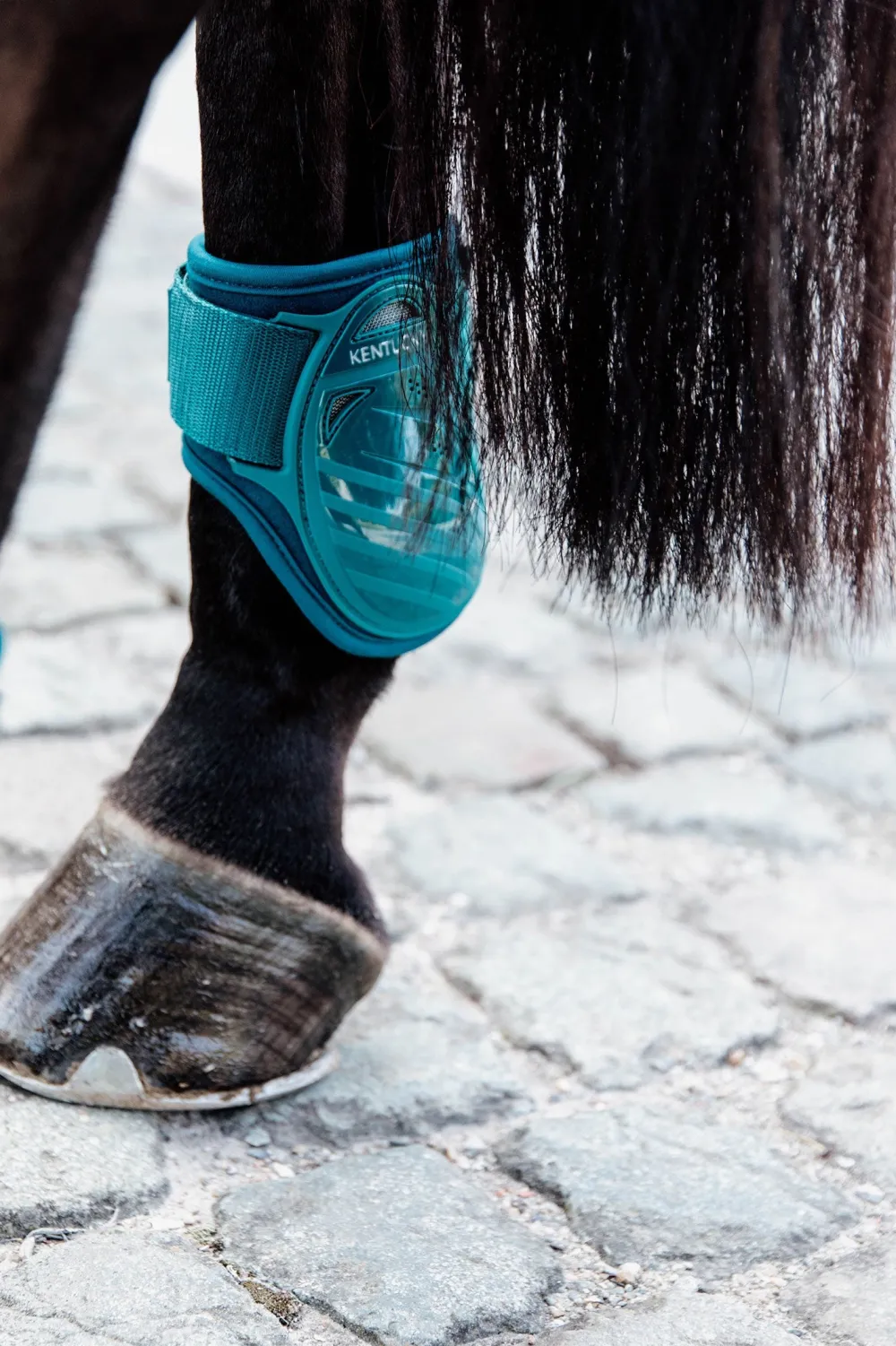 Kentucky Horsewear Benskydd & Benlindor-Bakskydd Unghäst Emerald