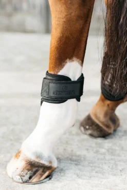 Kentucky Horsewear Kentucky Horsewear|Benskydd & Benlindor-Bakkydd Unghät vart