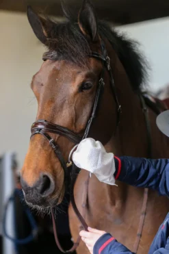 Carr & Day & Martin Skötsel & Hästvård|Carr & Day & Martin-Belvoir Tack Cleaner Mitt