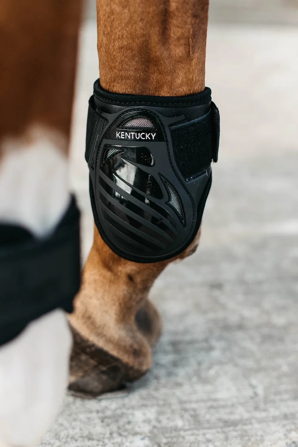 Kentucky Horsewear Kentucky Horsewear|Benskydd & Benlindor-Benskydd Bamboo Set Svart