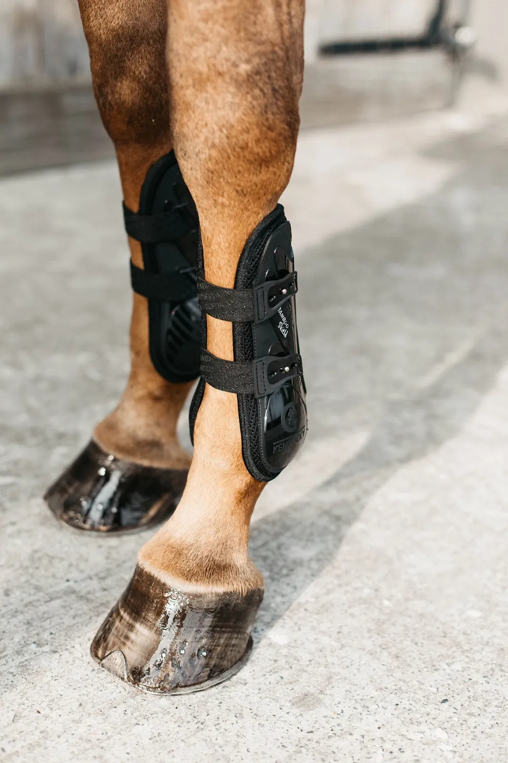 Kentucky Horsewear Kentucky Horsewear|Benskydd & Benlindor-Benskydd Bamboo Set Svart