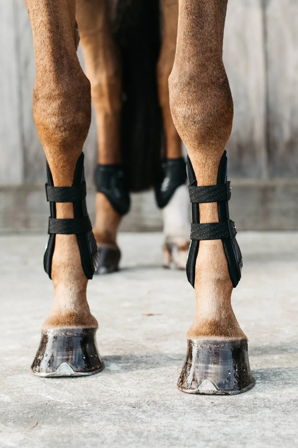 Kentucky Horsewear Kentucky Horsewear|Benskydd & Benlindor-Benskydd Bamboo Set Svart