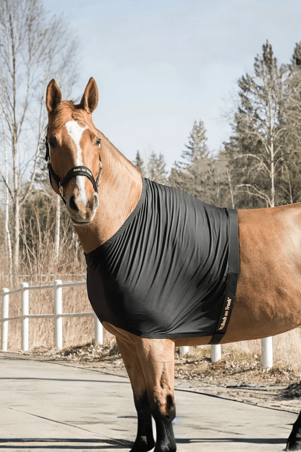 Back On Track Back On Track-Bogskydd Light
