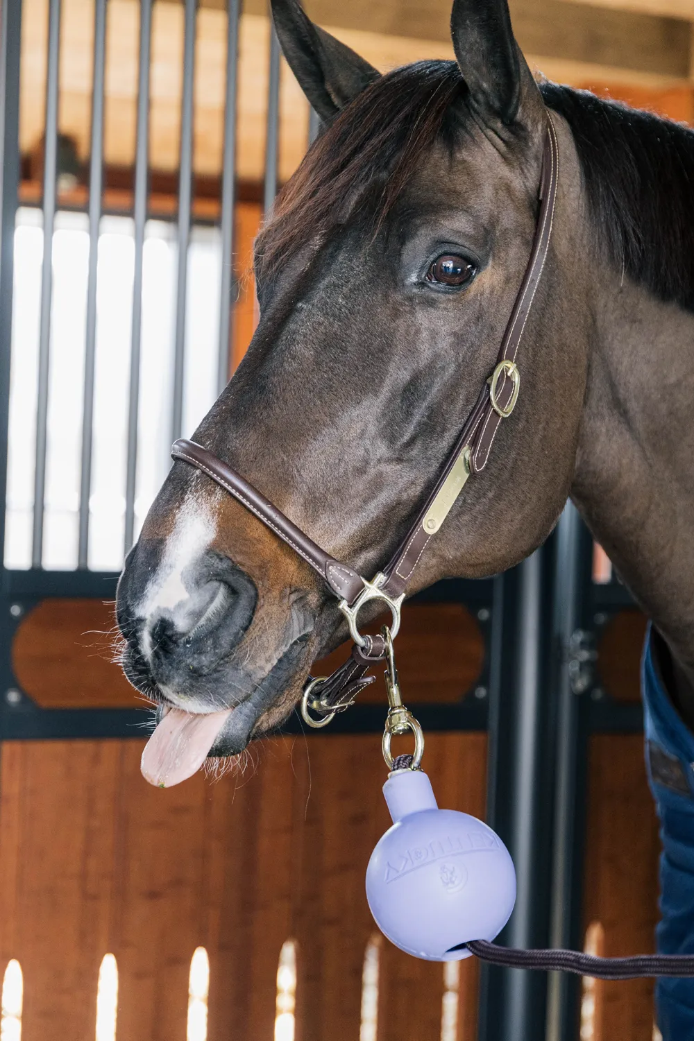 Kentucky Horsewear Kentucky Horsewear|Stallinredning & Upphängning-Boll Uppbindningsskydd Lavendel