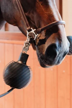 Grooming Deluxe Grooming Deluxe|Stallinredning & Upphängning-Boll Uppbindningsskydd Pro Svart