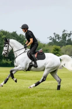 LeMieux Schabrak & Huvor|Lemieux-Bomullschabrak Close Contact Svart