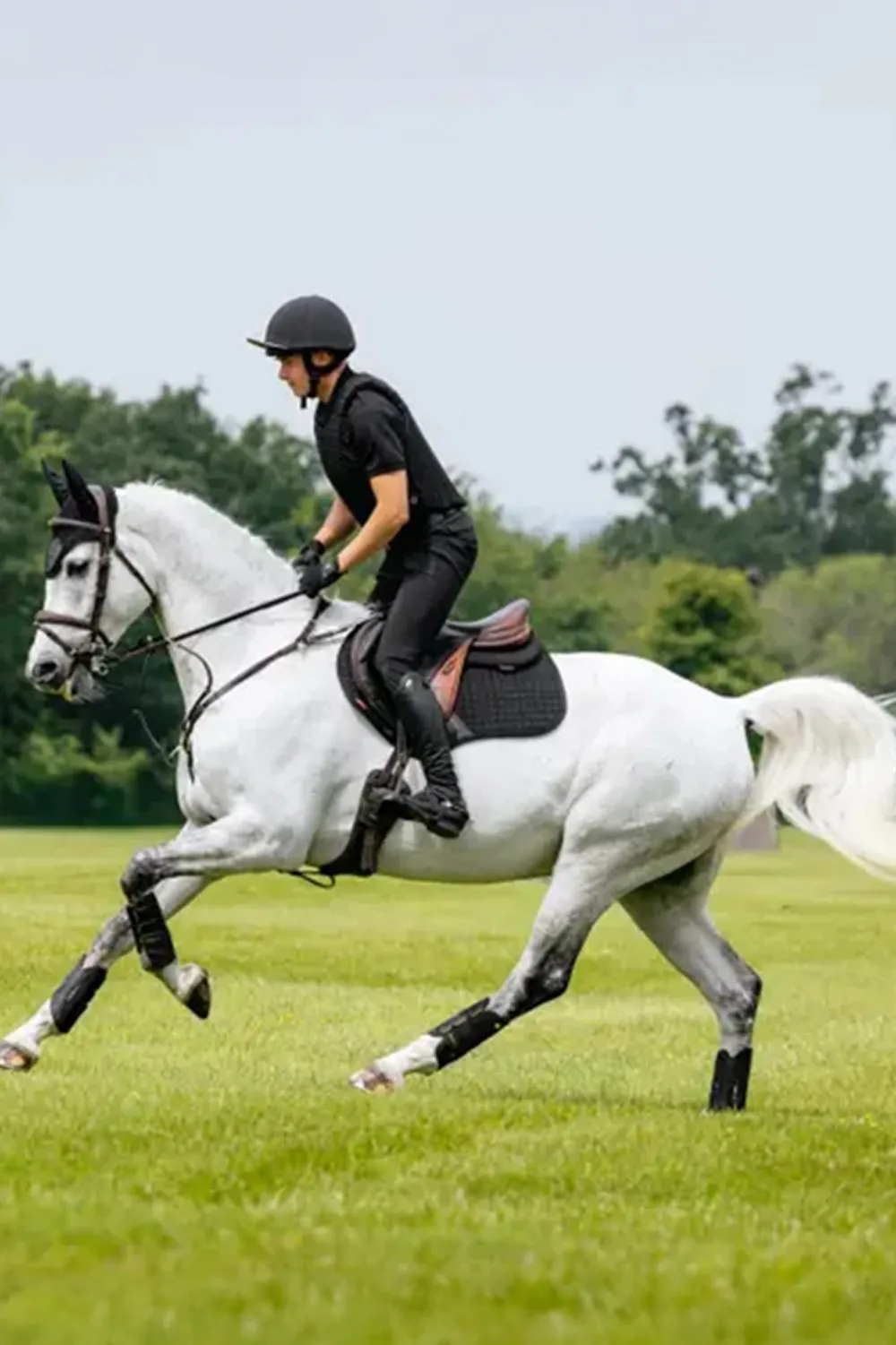 LeMieux Schabrak & Huvor|Lemieux-Bomullschabrak Close Contact Svart