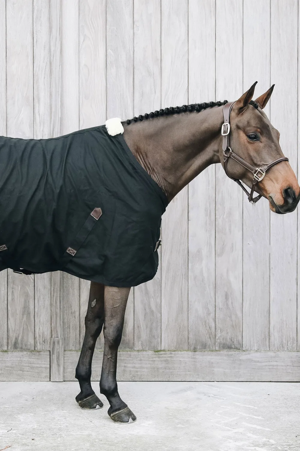 Kentucky Horsewear Hästtäcken & Flughuvor|Kentucky Horsewear-Bomullstäcke Svart