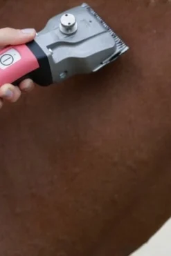 Aesculap Klippmaskiner & Tillbehör-Bonum Klippmaskin 1x Batteri