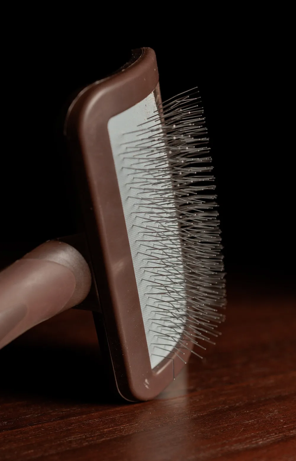 Grooming Deluxe Grooming Deluxe|Ryktväskor & Ryktborstar-Borste För Kardborre Brun
