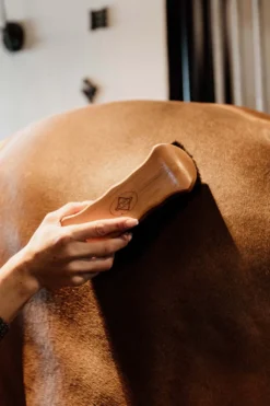 Grooming Deluxe Grooming Deluxe|Ryktväskor & Ryktborstar-Borste Hård