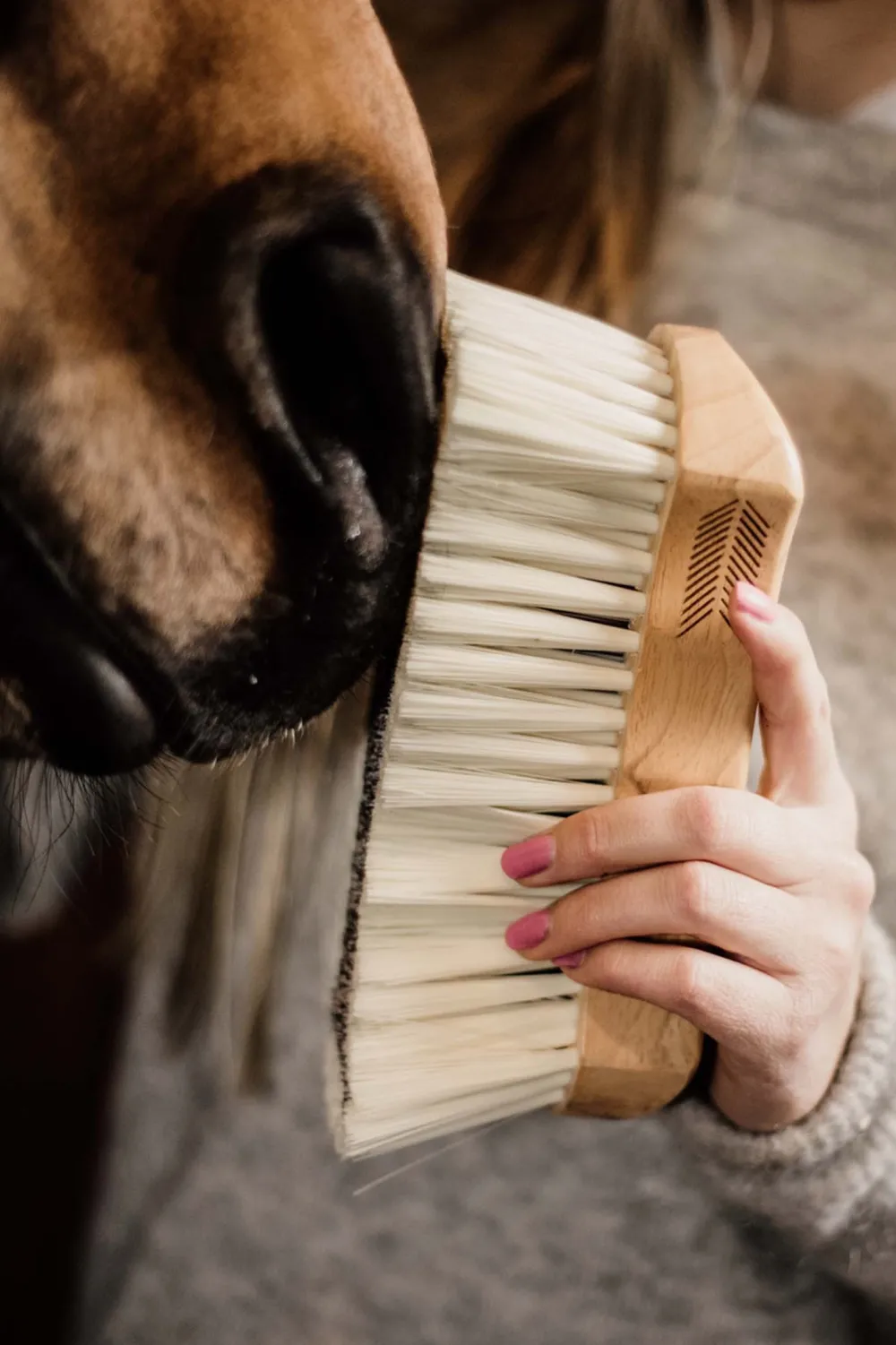 Grooming Deluxe Grooming Deluxe|Ryktväskor & Ryktborstar-Borste Mjuk