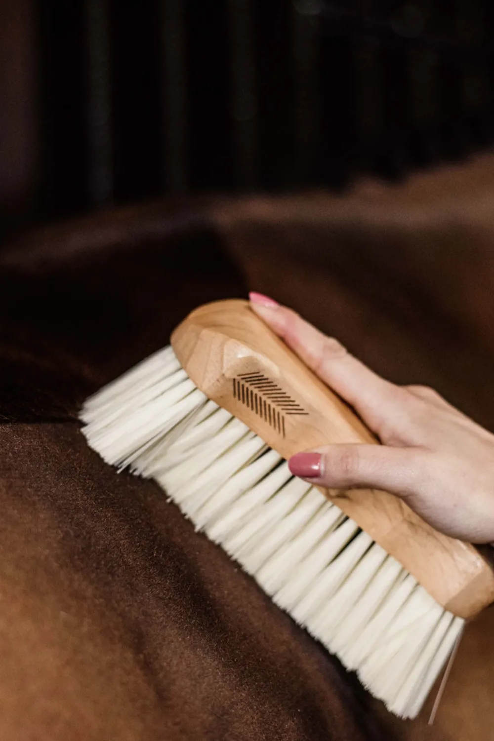 Grooming Deluxe Grooming Deluxe|Ryktväskor & Ryktborstar-Borste Mjuk