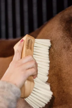 Grooming Deluxe Grooming Deluxe|Ryktväskor & Ryktborstar-Borste Mjuk