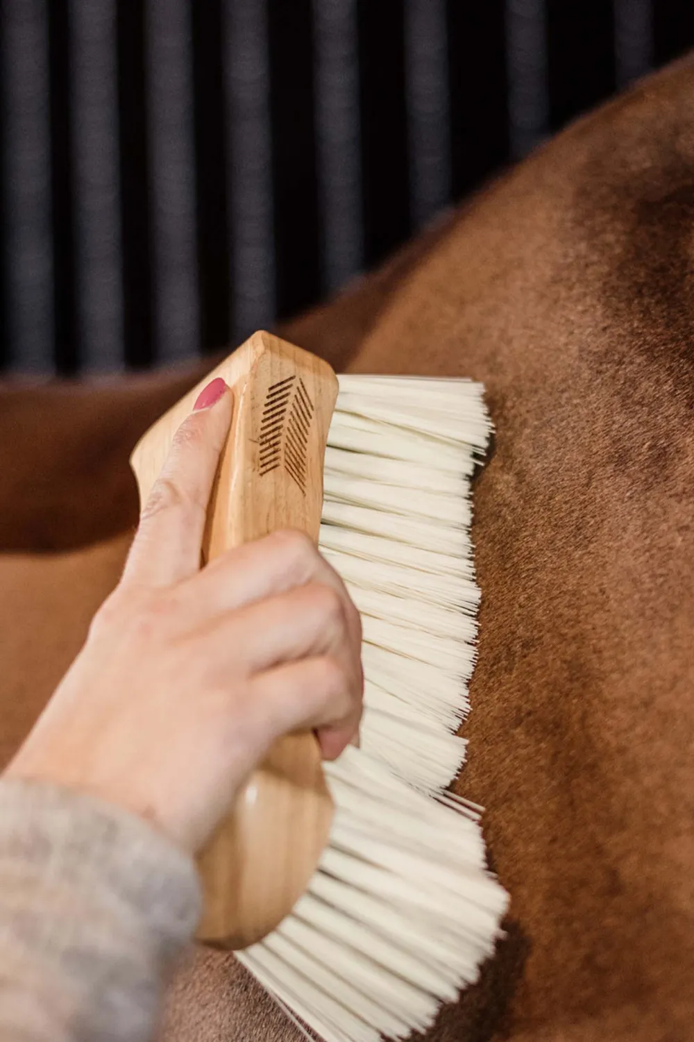 Grooming Deluxe Grooming Deluxe|Ryktväskor & Ryktborstar-Borste Mjuk