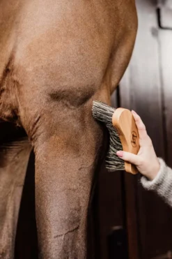Grooming Deluxe Grooming Deluxe|Ryktväskor & Ryktborstar-Borste Svängd Hård