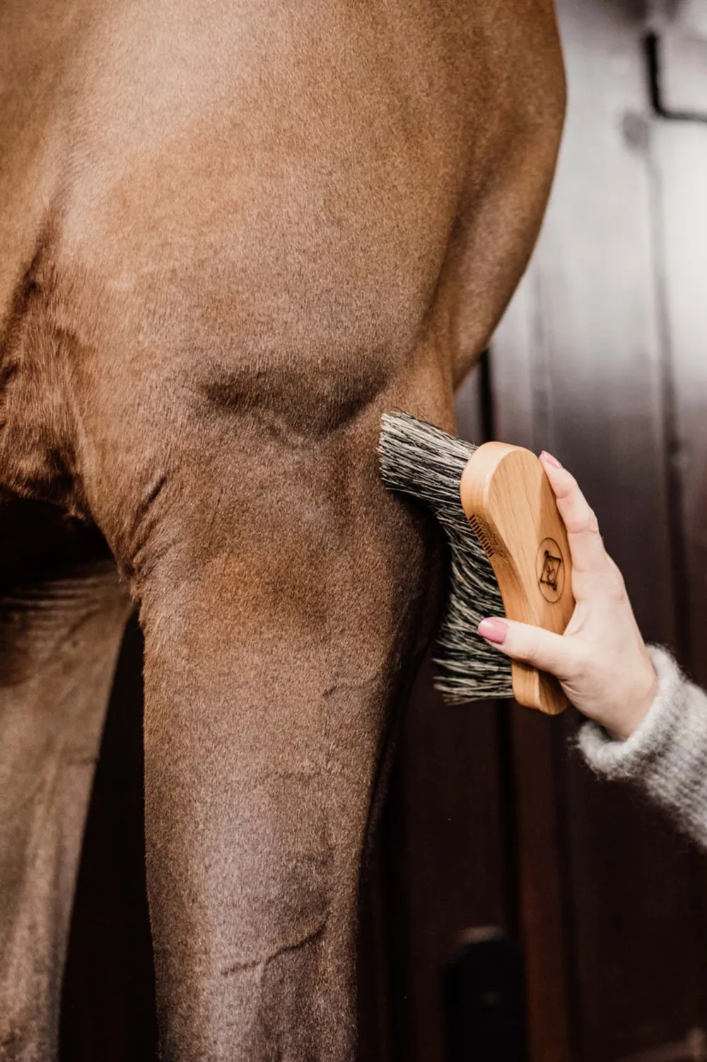 Grooming Deluxe Grooming Deluxe|Ryktväskor & Ryktborstar-Borste Svängd Hård