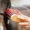Grooming Deluxe Grooming Deluxe|Ryktväskor & Ryktborstar-Borste Svängd Lång