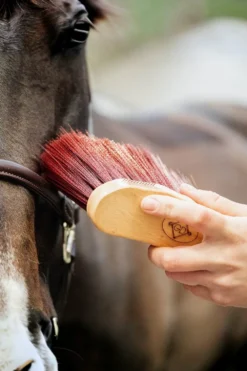 Grooming Deluxe Grooming Deluxe|Ryktväskor & Ryktborstar-Borste Svängd Lång