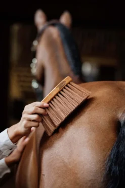 Grooming Deluxe Grooming Deluxe|Ryktväskor & Ryktborstar-Borste Svängd Mellan