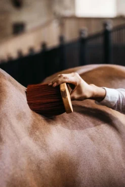 Grooming Deluxe Grooming Deluxe|Ryktväskor & Ryktborstar-Borste Svängd Mellan