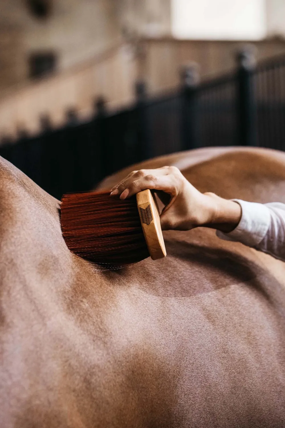 Grooming Deluxe Grooming Deluxe|Ryktväskor & Ryktborstar-Borste Svängd Mellan