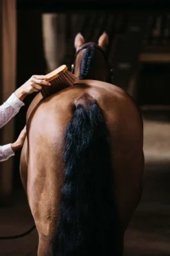 Grooming Deluxe Grooming Deluxe|Ryktväskor & Ryktborstar-Borste Svängd Mellan