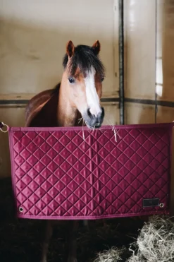 Kentucky Horsewear Kentucky Horsewear|Väskor & Boxgardiner-Boxstopp Bordeaux