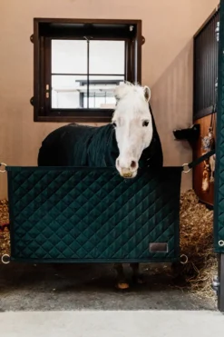 Kentucky Horsewear Kentucky Horsewear|Väskor & Boxgardiner-Boxstopp Grön