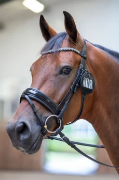 LeMieux Lemieux-Bridle Nummerlapp