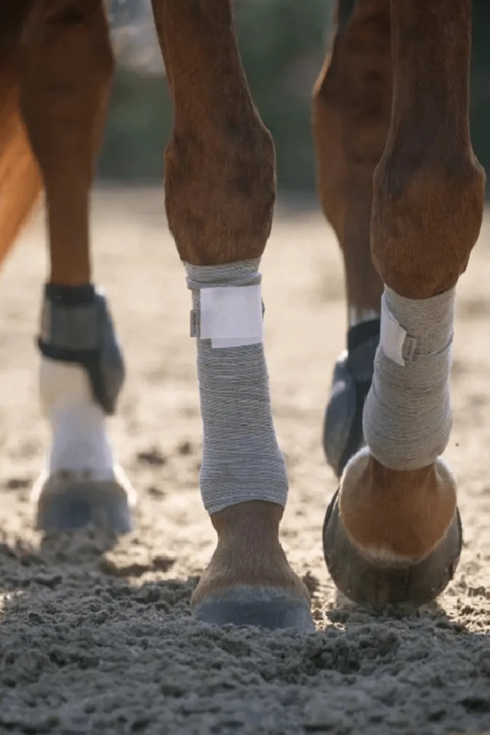 Incrediwear Incrediwear Equine|Benskydd & Benlindor-Cirkulation Benlindor Ponny Grå