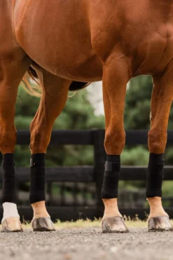 Incrediwear Incrediwear Equine|Benskydd & Benlindor-Cirkulation Benlindor Ponny 9x185 cm Svart